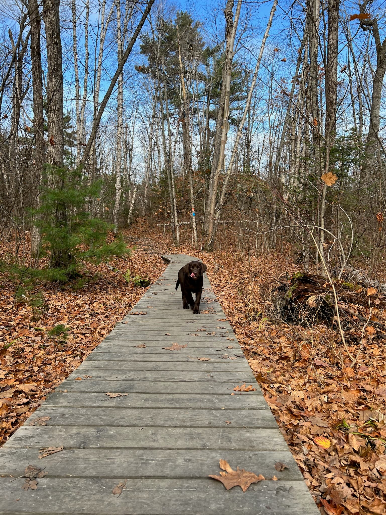 Killarney Provincial Park, Ontario, Canada.